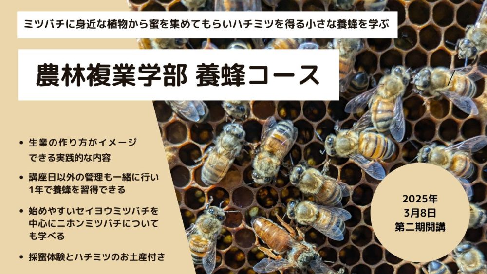 農林複業学部 養蜂コース2025